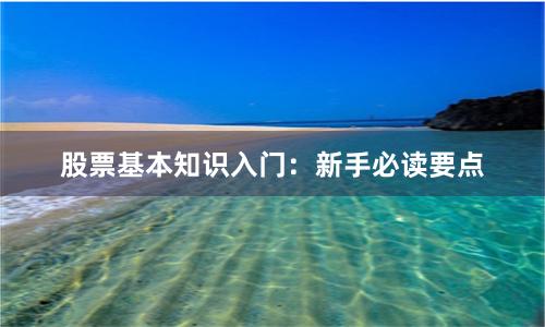股票基本知识入门：新手必读要点