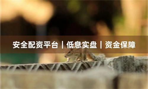 安全配资平台｜低息实盘｜资金保障