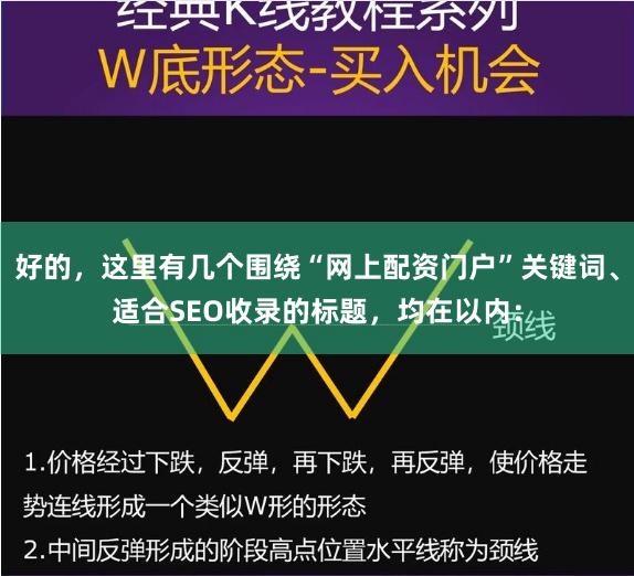 好的，这里有几个围绕“网上配资门户”关键词、适合SEO收录的标题，均在以内：