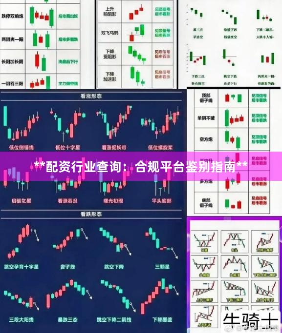 **配资行业查询：合规平台鉴别指南**