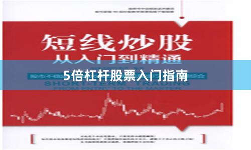 5倍杠杆股票入门指南