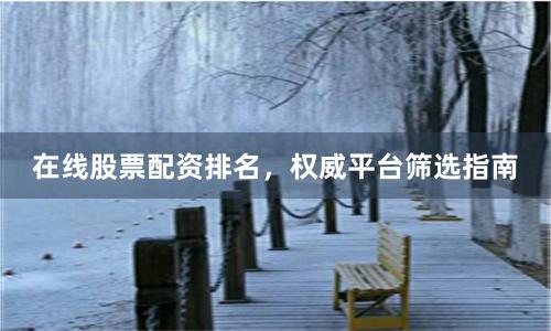 在线股票配资排名，权威平台筛选指南