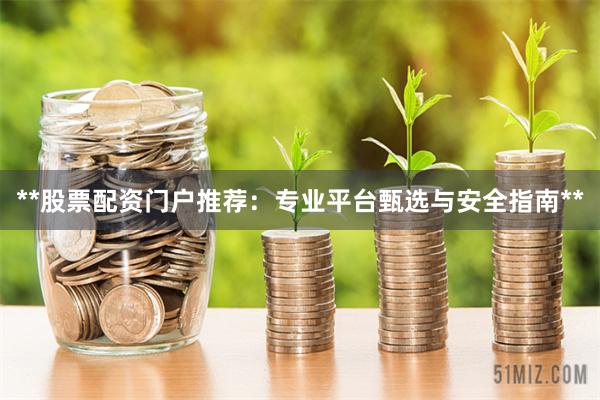 **股票配资门户推荐：专业平台甄选与安全指南**